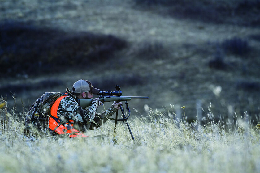 Gun Deer Season Kicks Off on November 23