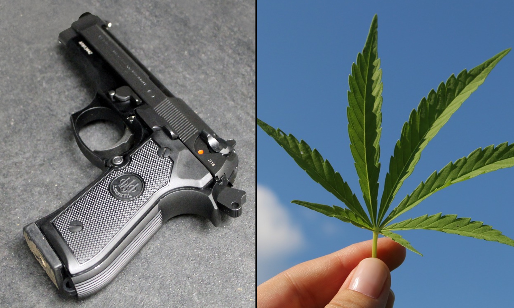 Medical Cannabis Users Face Federal Restrictions on Firearm Ownership